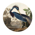 Sticker perete rotund cu starcul din louisiana operta de arta james audubon louisiana heron