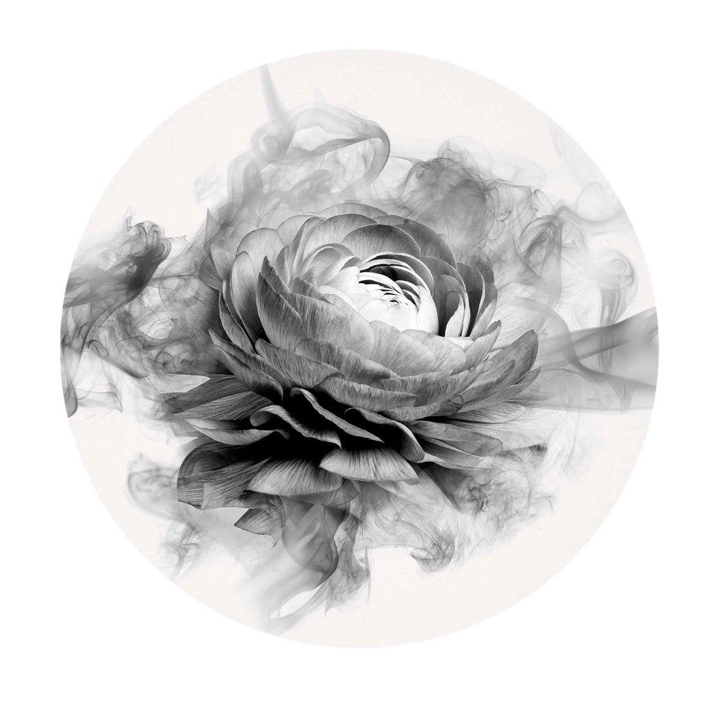 Sticker perete rotund floral cu bujor in alb negru fumuriu smokey peony
