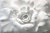 Tapet Personalizat 3D cu o floare din ipsos alb in relief - 3D PLASTER ROSE