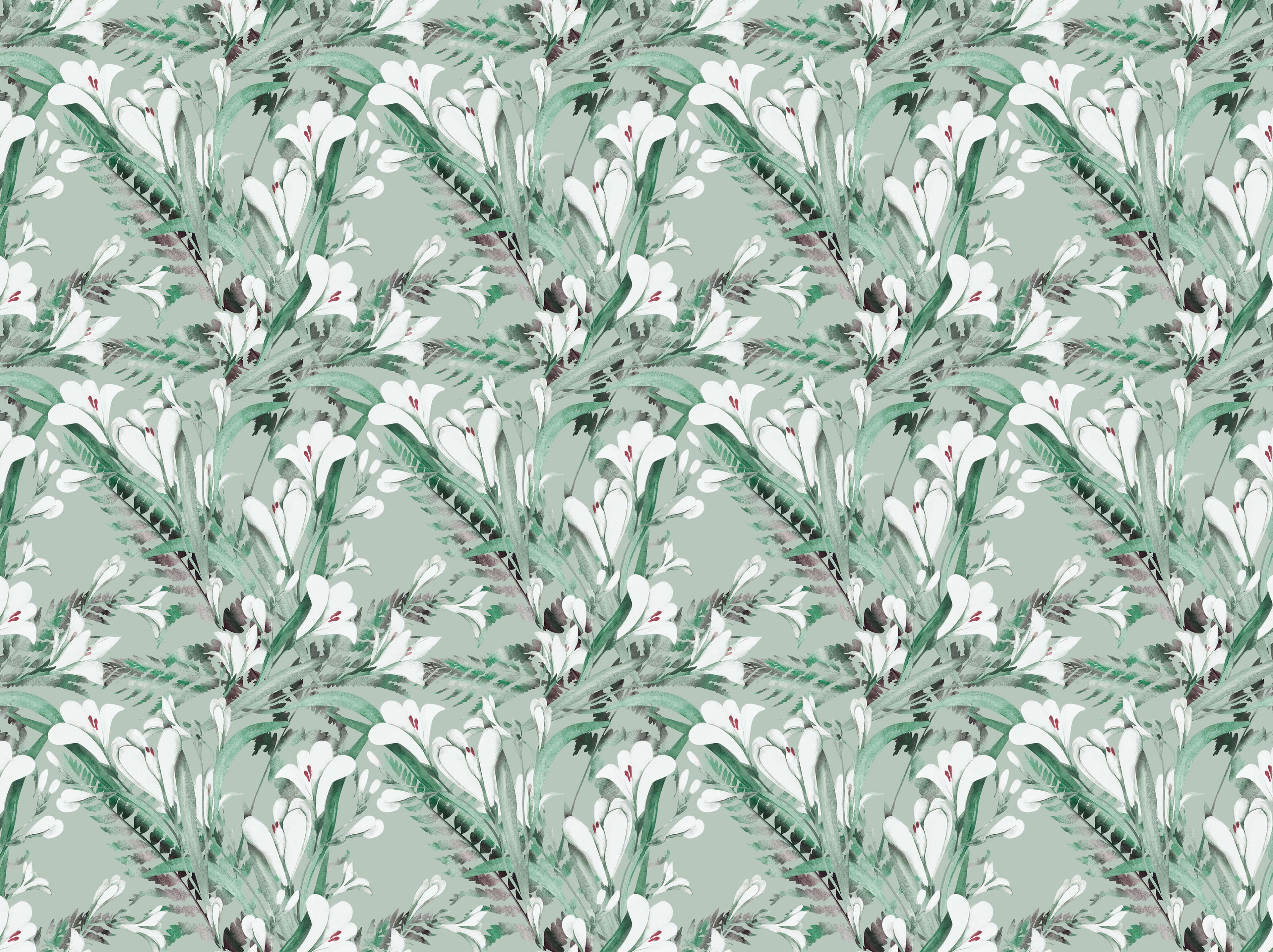 Tapet personalizat - WHITE CROCUS