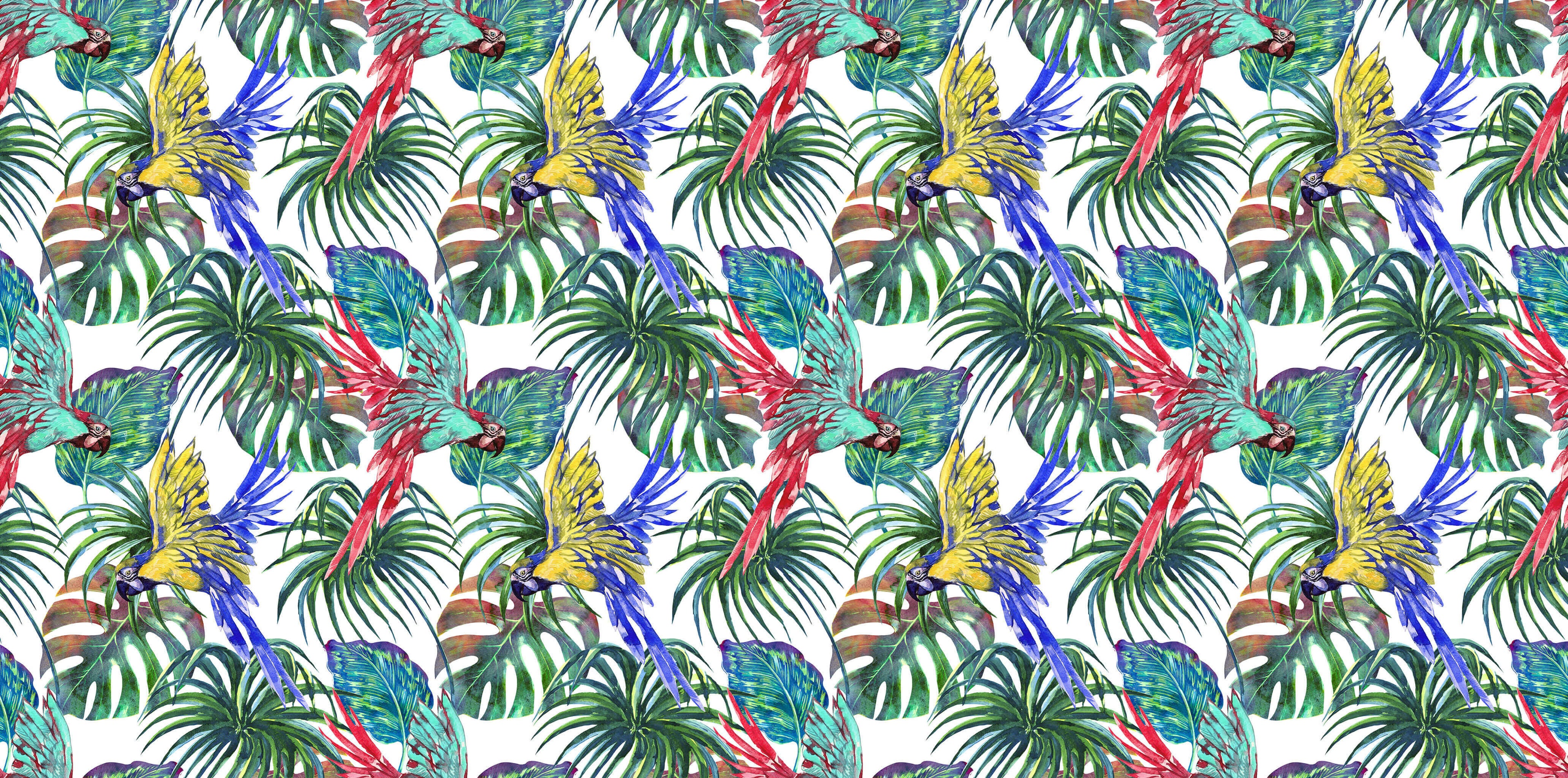 Tapet personalizat - COLORFUL PARROTS