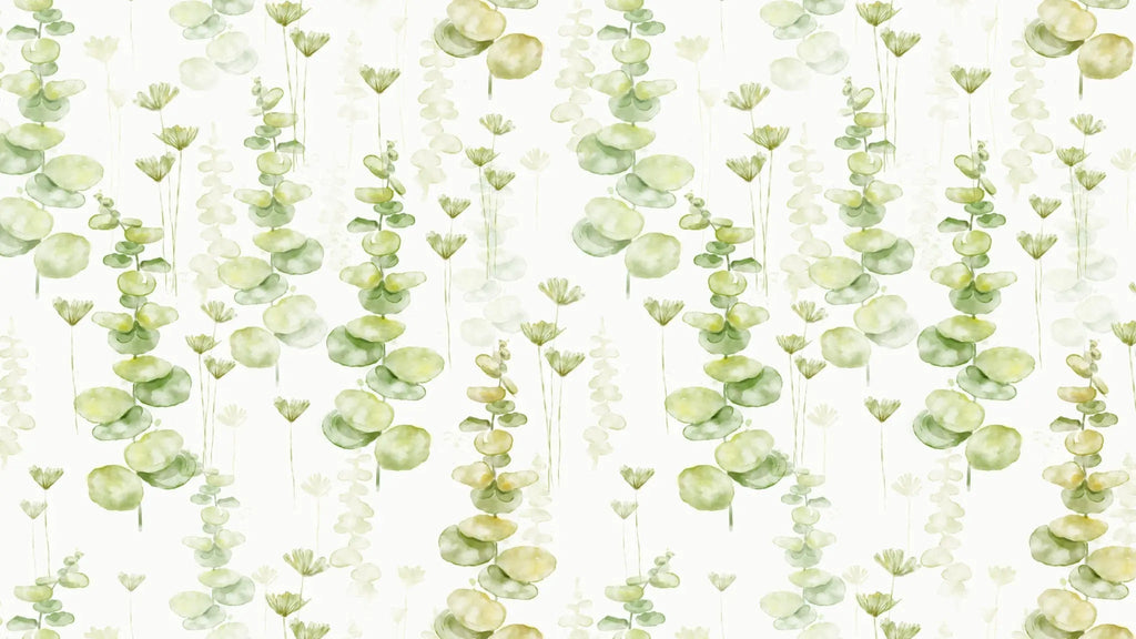 Tapet personalizat watercolor cu frunze de eucalipt pe un fundal alb eucalipt leaves