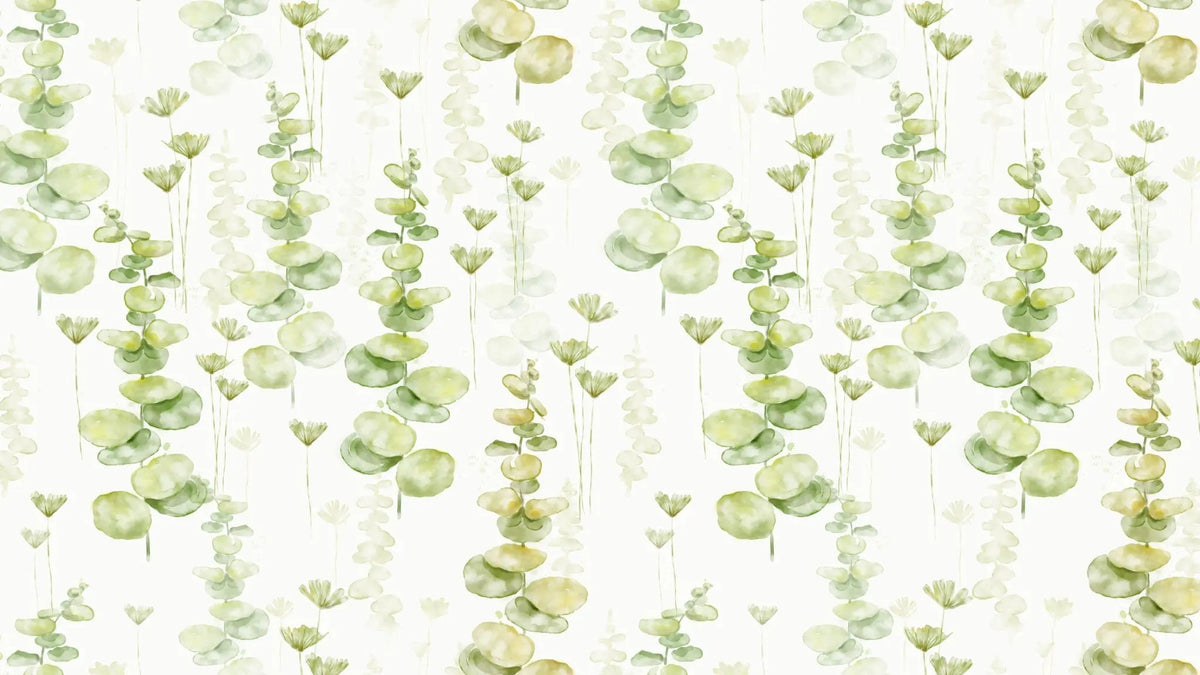 Tapet personalizat watercolor cu frunze de eucalipt pe un fundal alb eucalipt leaves