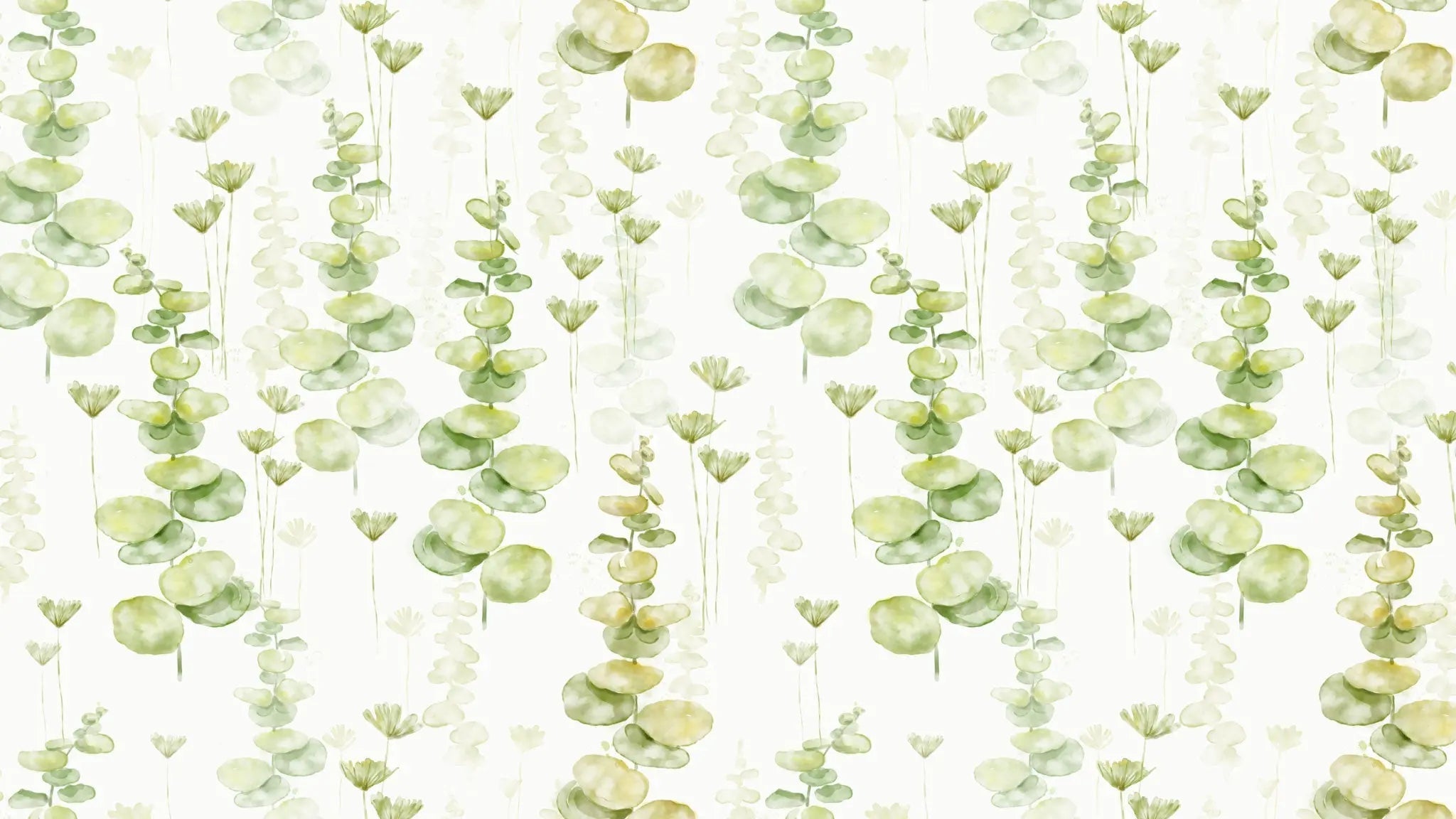 Tapet personalizat watercolor cu frunze de eucalipt pe un fundal alb eucalipt leaves