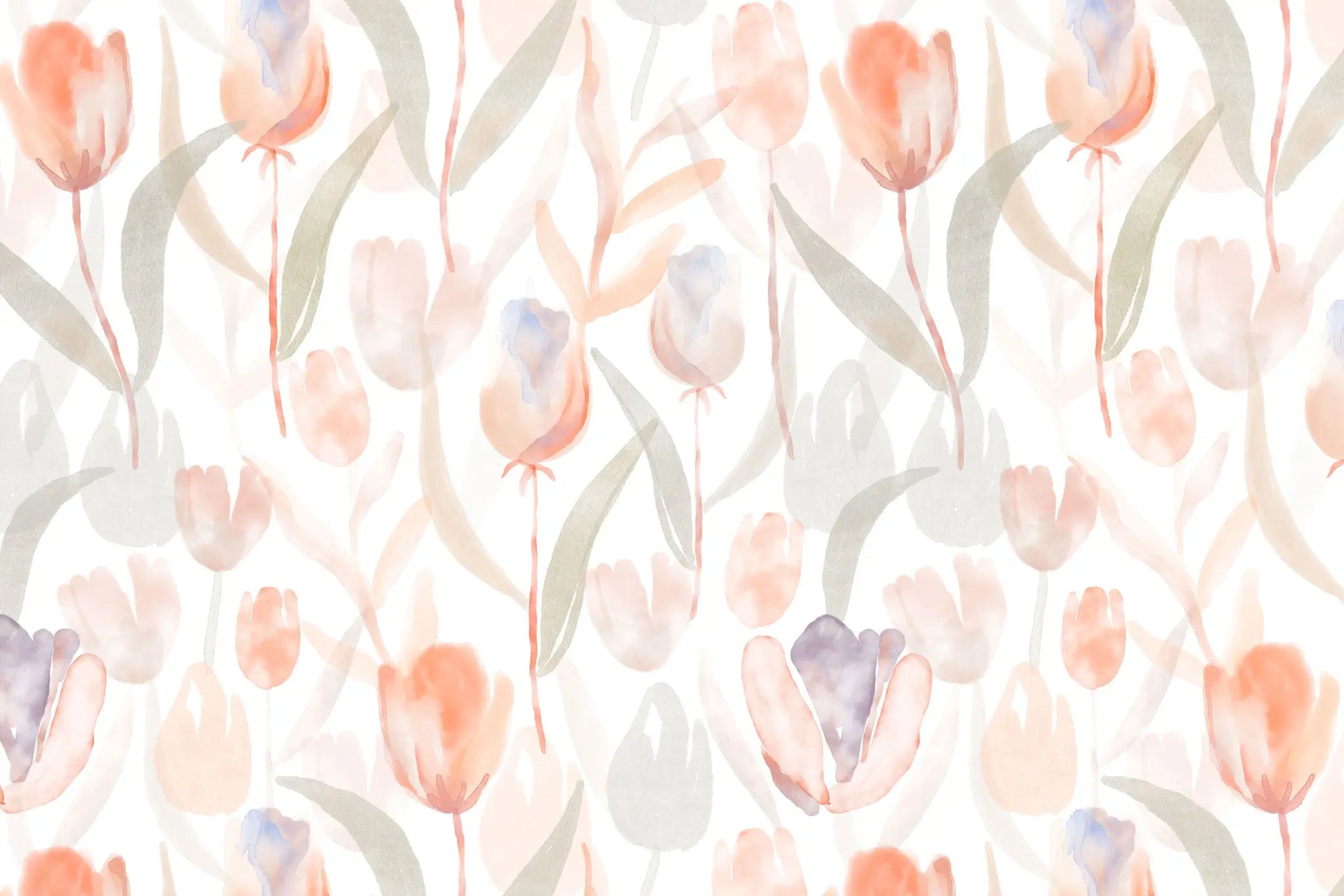 Tapet personalizat watercolor cu lalele rosii pe fundal alb red tulips