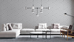 Tapet Personalizat Patterns cu hexagoane gri - HEXAGONAL GREY LINES