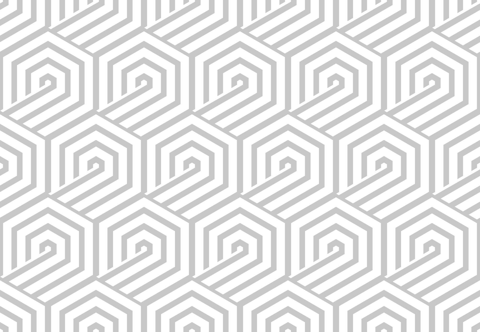 Tapet Personalizat Patterns cu hexagoane gri - HEXAGONAL GREY LINES