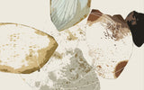 Tapet personalizat abstract cu forme de petale abstracte coffee petals