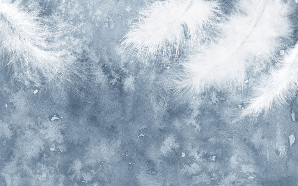 Tapet personalizat abstract cu pene albe pe fundal albastru white feathers