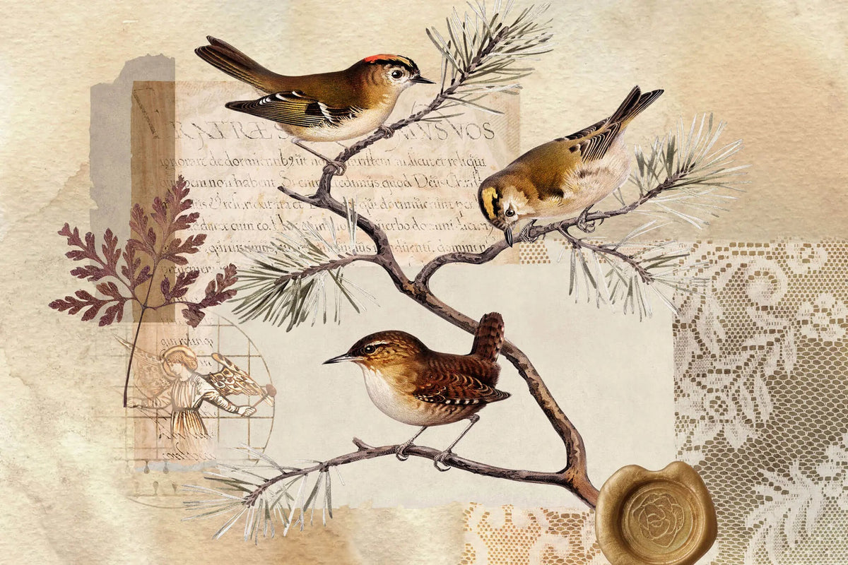 Tapet personalizat eclectic cu design inedit in nuante pamantii ce ilustreaza o scrisoare veche cu sigiliu sub o ramura de conifer plina cu pasari postcard