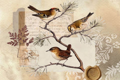 Tapet personalizat eclectic cu design inedit in nuante pamantii ce ilustreaza o scrisoare veche cu sigiliu sub o ramura de conifer plina cu pasari postcard