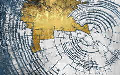 Tapet personalizat fine art cu inele de copac tip buturuga in nuante de alb si auriu white 'n gold tree rings