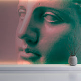 Tapet Personalizat Fine Art cu sculptura de ipsos in inflarosu - GYPSUM SCULPTURE