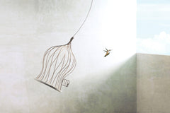 Tapet Personalizat Fine Art cu pasare salbatica evadand din colivie - BIRDCAGE FREE