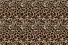 Leopard Personalised Wallpaper