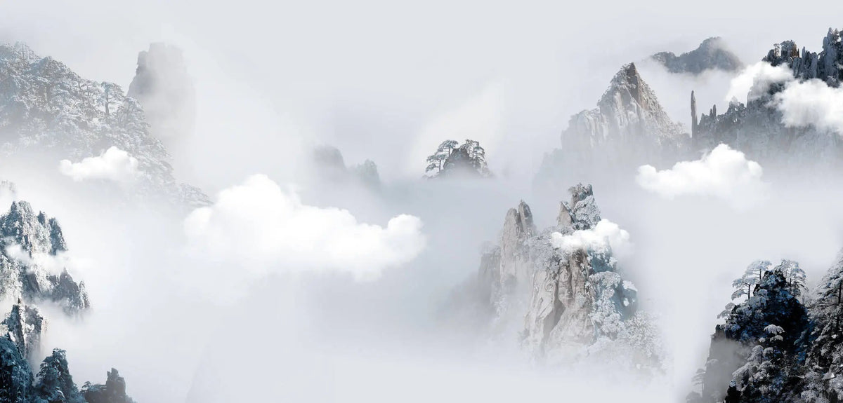 Tapet personalizat forest cu munti inzapeziti aflati in ceata foggy mountains
