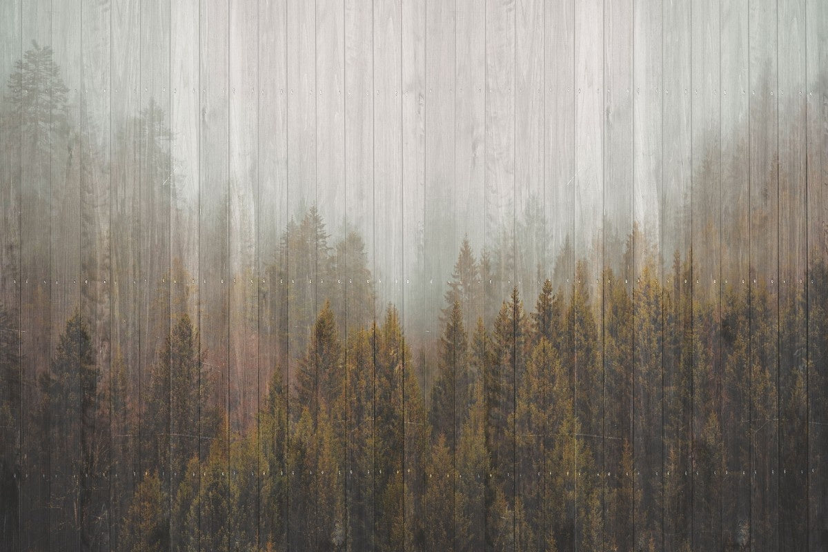 Tapet personalizat forest cu un model de copaci stilizati ce aminteste de textura lemnului oferind un aspect natural si modern wood plank forest
