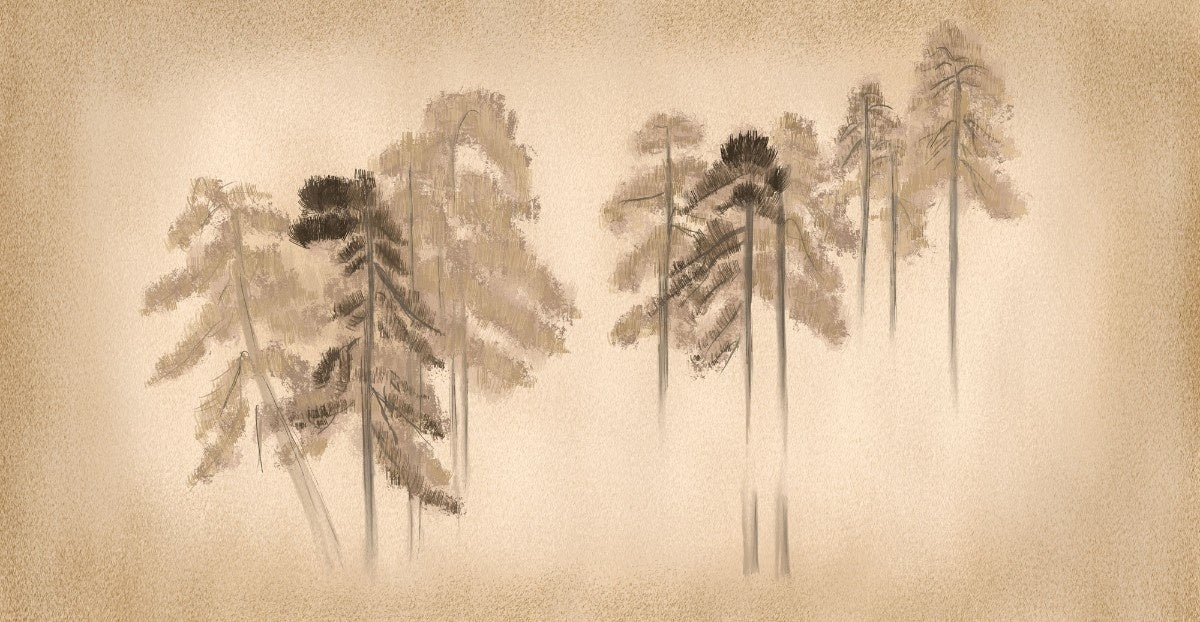 Tapet personalizat forest cu un design simplificat cu brazi stilizati inspirand un aspect curat si contemporan stamp pine trees