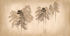 Tapet personalizat forest cu un design simplificat cu brazi stilizati inspirand un aspect curat si contemporan stamp pine trees