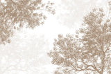 Tapet Personalizat Forest cu padure de foioase in nuante de bej - BROWN CONIFEROUS