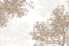 Tapet Personalizat Forest cu padure de foioase in nuante de bej - BROWN CONIFEROUS