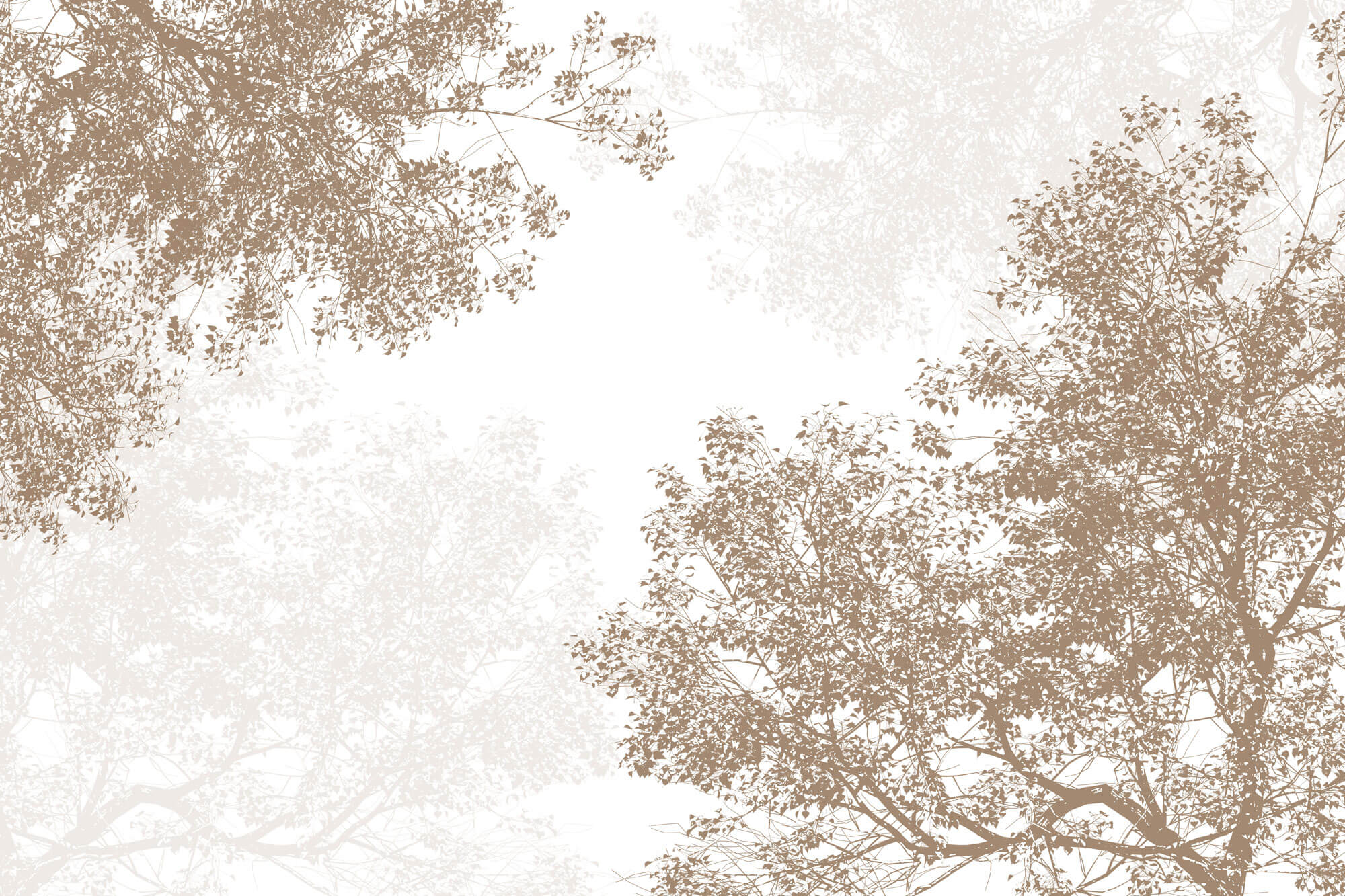 Tapet Personalizat Forest cu padure de foioase in nuante de bej - BROWN CONIFEROUS