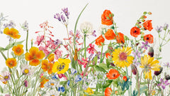 Tapet personalizat floral cu mix de flori salbatice de mac rosu crin peruan echinacea iris peacock moraea pe un fundal alb vibrant wilderness