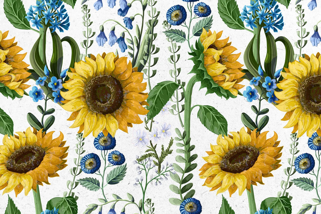 Tapet personalizat floral cu floarea soarelui si flori albastre salbatice de nu ma uita pe un fundal alb texturat wild sunflower