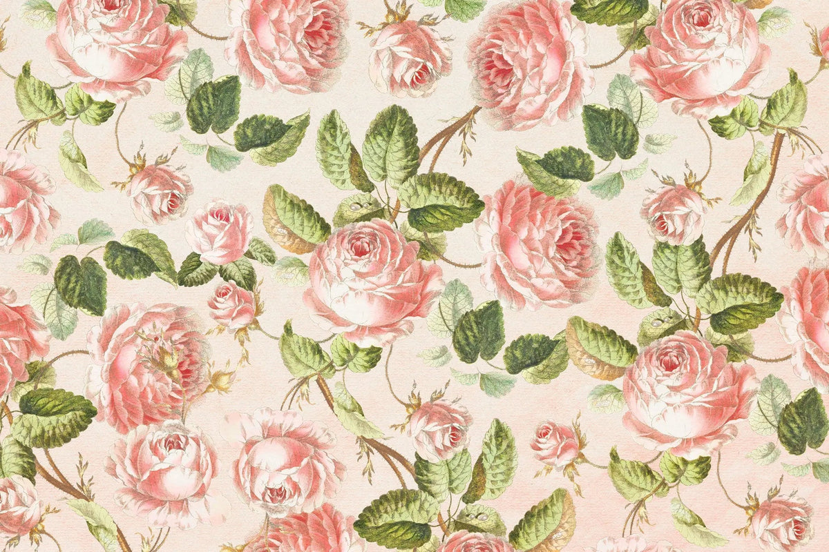 Tapet personalizat floral cu bujori infloriti rozalii in stil retro retro peony
