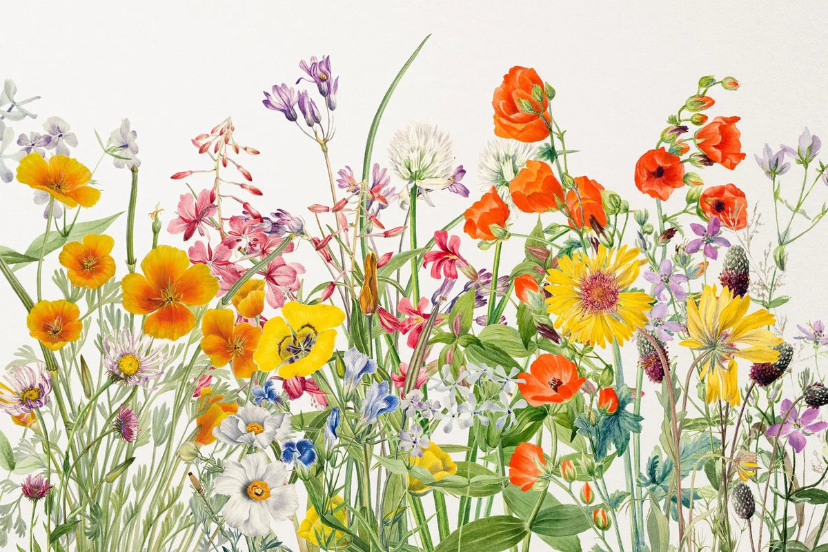 Tapet personalizat floral cu flori in culori vivide pe un fundal alb vivid field flowers
