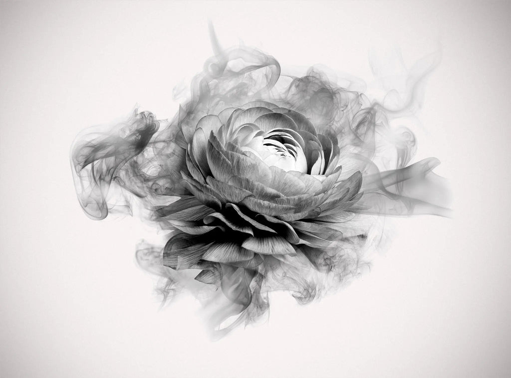Tapet personalizat floral cu bujor in alb negru fumuriu smokey peony
