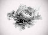 Tapet personalizat floral cu bujor in alb negru fumuriu smokey peony