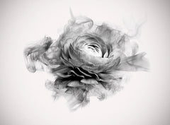 Tapet personalizat floral cu bujor in alb negru fumuriu smokey peony