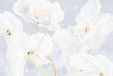 Tapet personalizat floral cu flori de mac albe white poppy