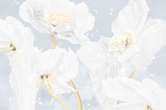 Tapet personalizat floral cu flori de mac albe white poppy