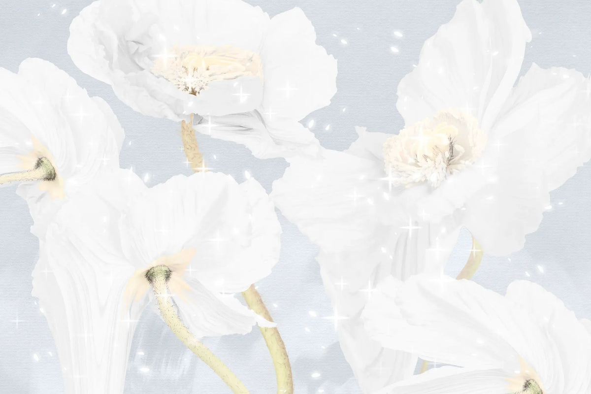 Tapet personalizat floral cu flori de mac albe white poppy