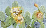 Tapet personalizat floral cu cactusi infloriti si suculente pe un fundal albastru cactus blooming