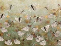 Tapet personalizat floral cu ciulini si fluturi thistle butterflies
