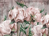 Tapet personalizat floral cu bujori rozalii pe fundal texturat de perete crapat blush peonies