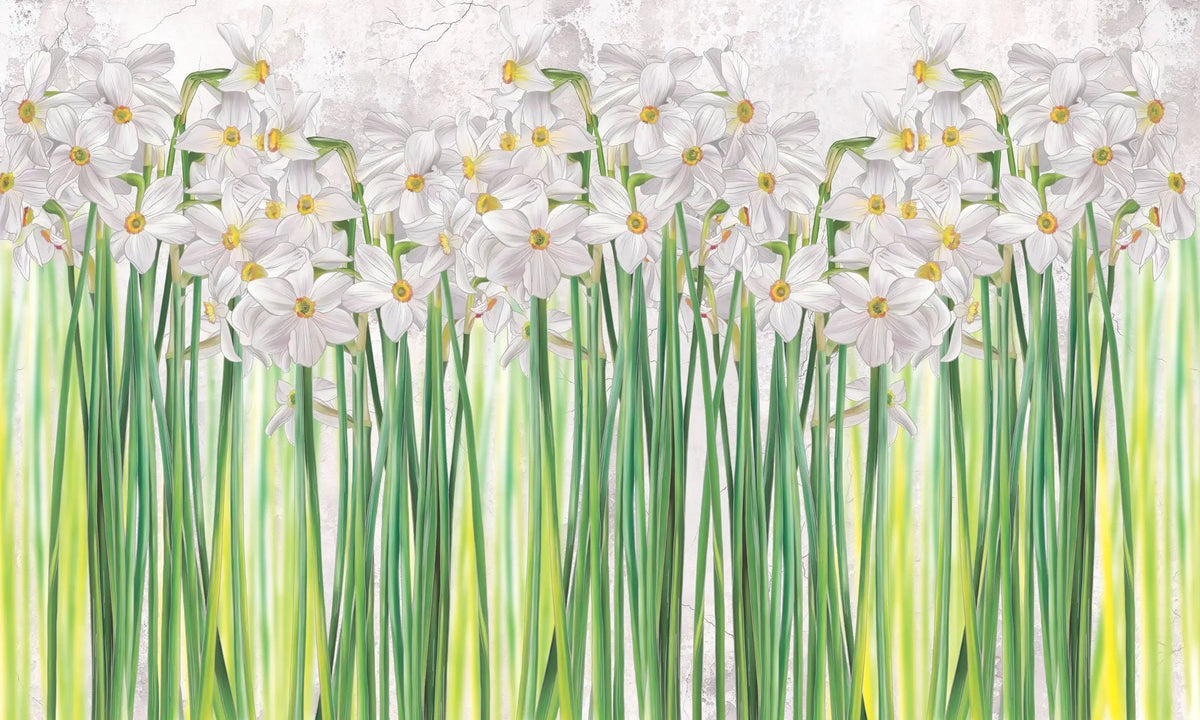Tapet personalizat floral cu narcise albe inflorite pe fundal alb poet's narcissus