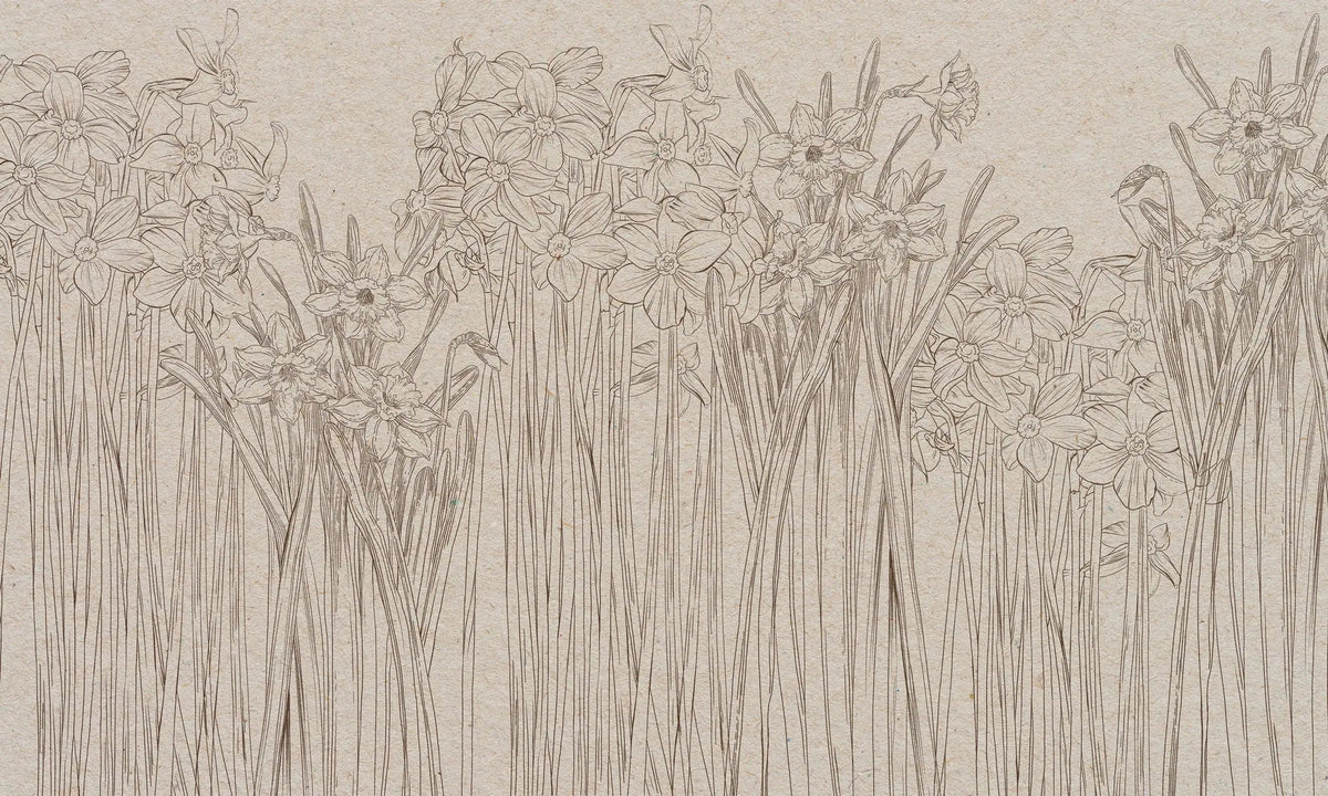 Tapet personalizat floral cu narcise desenate in creion daffodil sketch