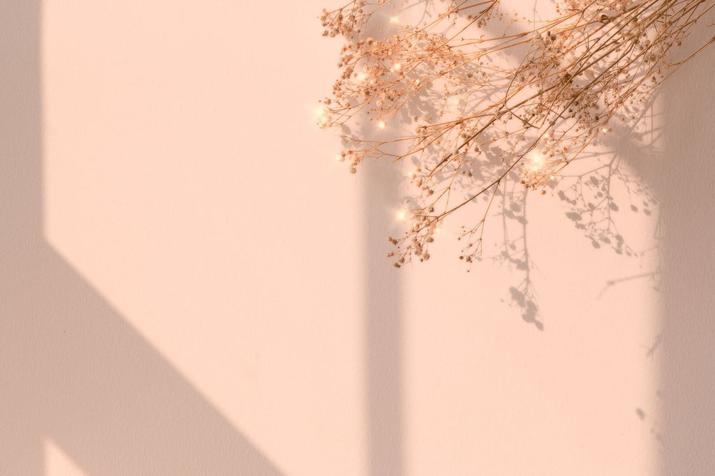 Fototapet Personalizat Floral cu floarea miresei stralucitoare si fundal roz de apus - SHINY GYPSOPHILA