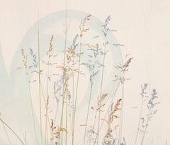 Fototapet Personalizat Floral cu fire de grau si perete decorativ - GRASS PHOTOGRAPHY
