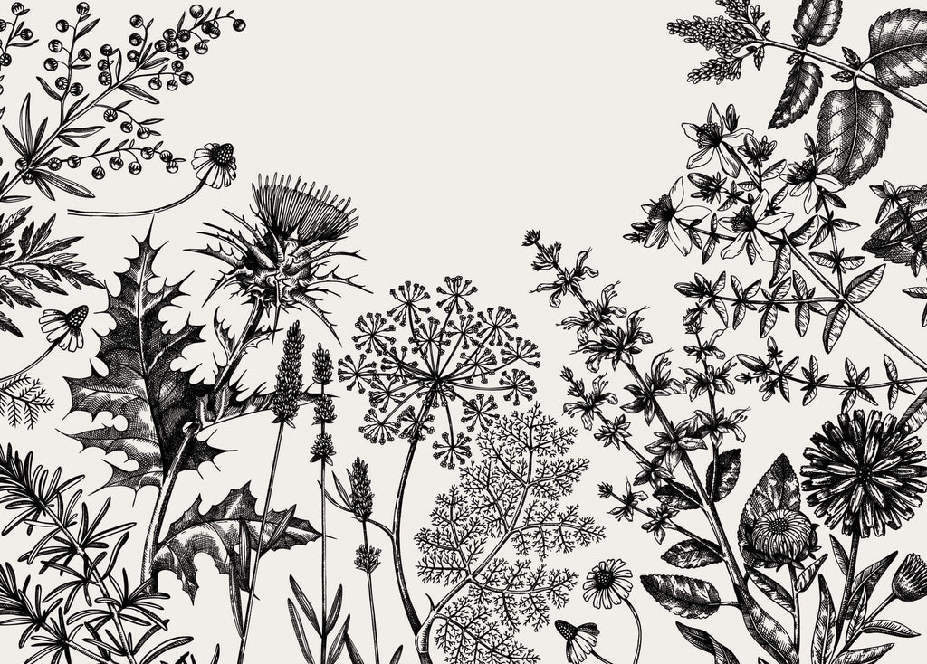 Tapet Personalizat Floral cu flori de camp desenate - MINIMALIST BLACK FLORAL