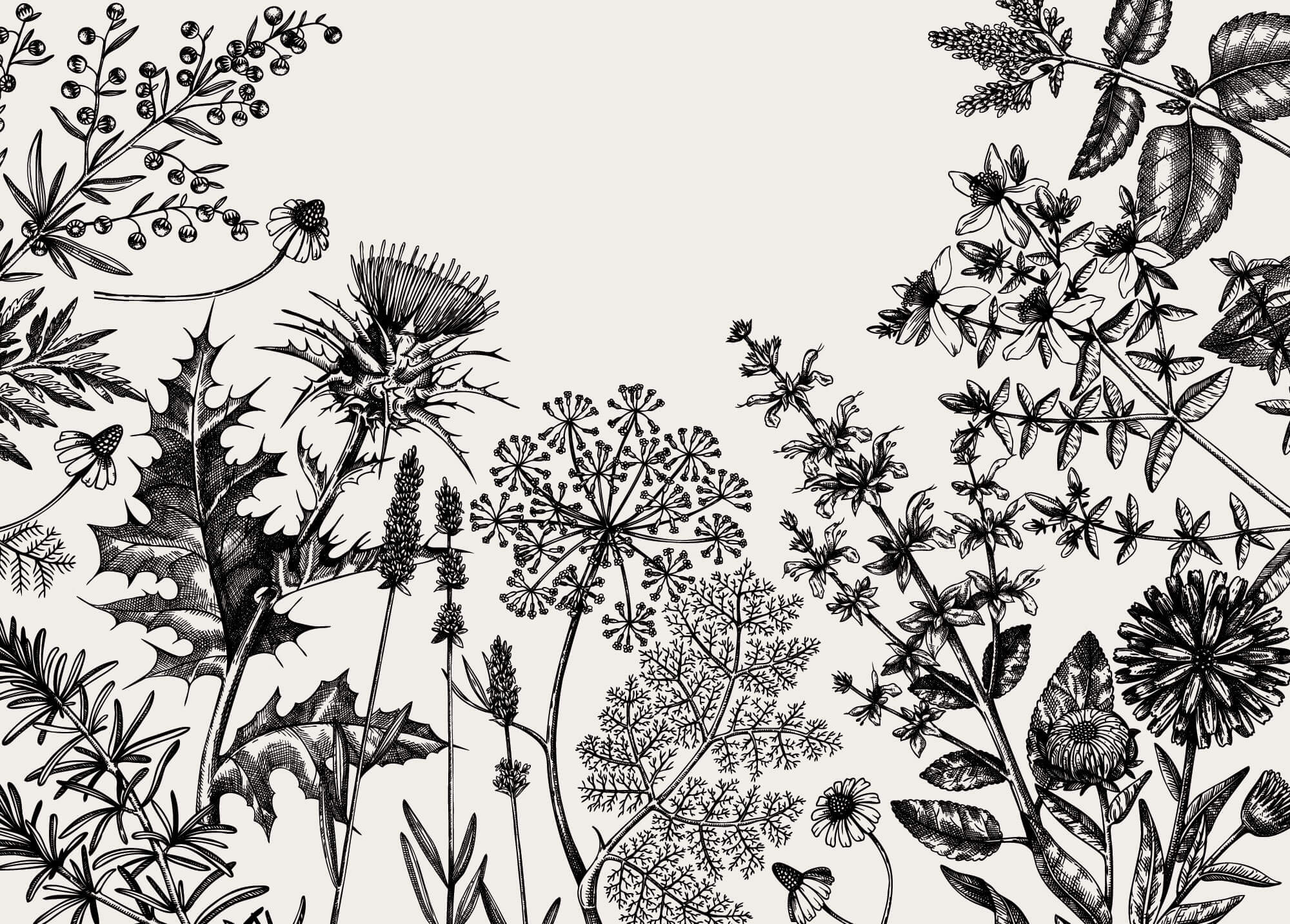 Tapet Personalizat Floral cu flori de camp desenate - MINIMALIST BLACK FLORAL