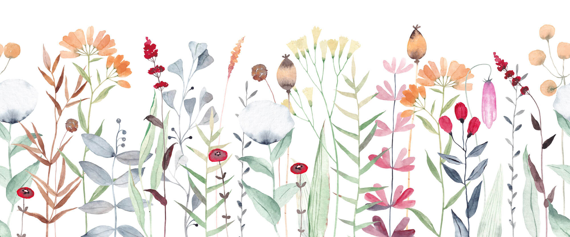 Tapet Personalizat Floral cu flori fragile colorate in stil watercolor - SOFT WATERCOLOR PLANTS