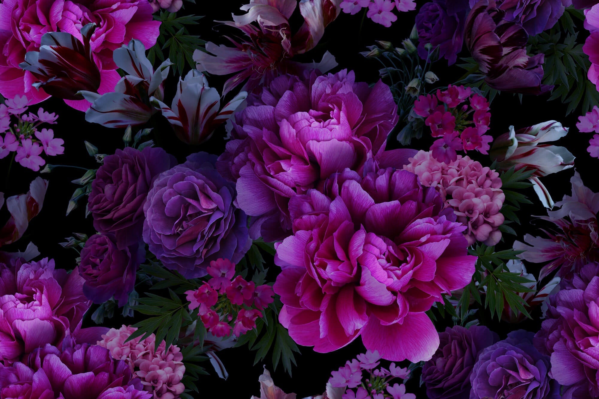 Fototapet Personalizat Floral cu bujori roz vibrant - PINK VIVID PEONIES