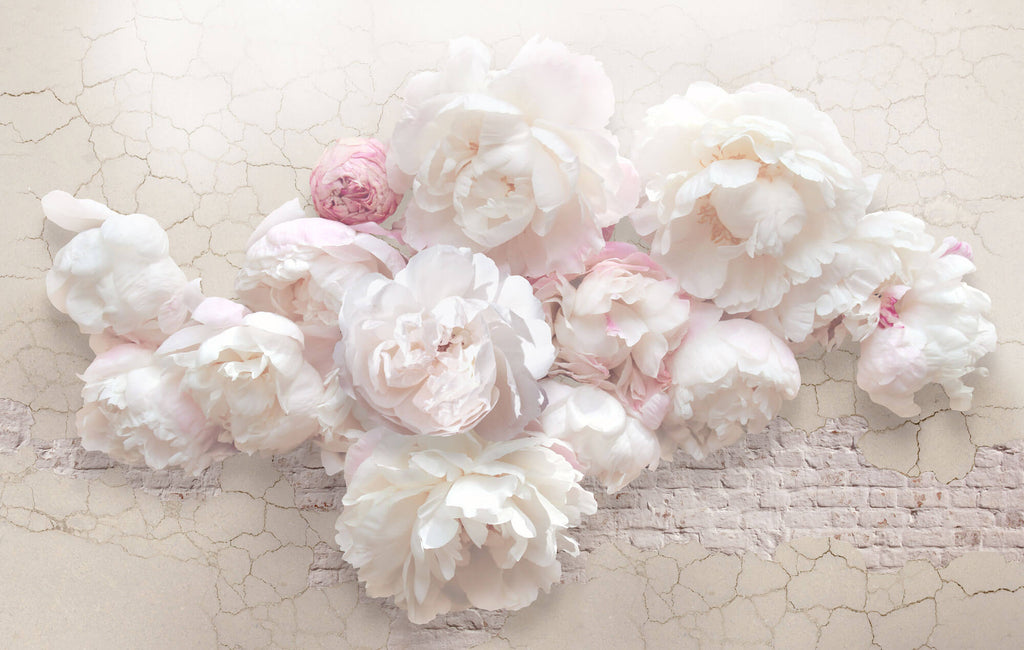 Fototapet Personalizat Floral cu bujori trandafirii pe un perete crapat cu caramida alba - BRICK VINTAGE ROSES