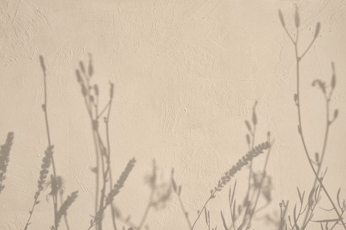 Fototapet Personalizat Floral cu umbre de plante pe un perete in stil plaster - GENTLE SHADOWS