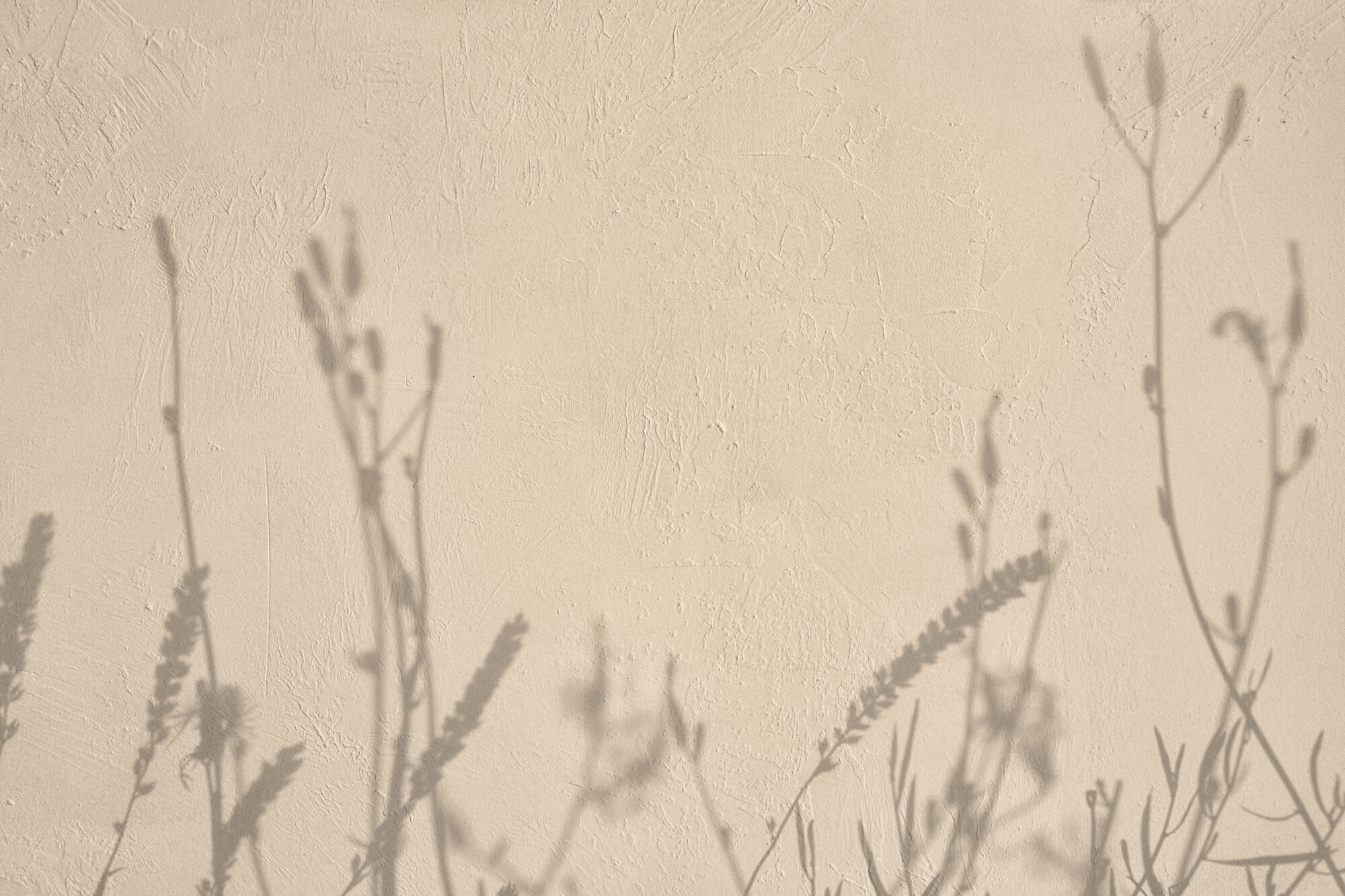 Fototapet Personalizat Floral cu umbre de plante pe un perete in stil plaster - GENTLE SHADOWS